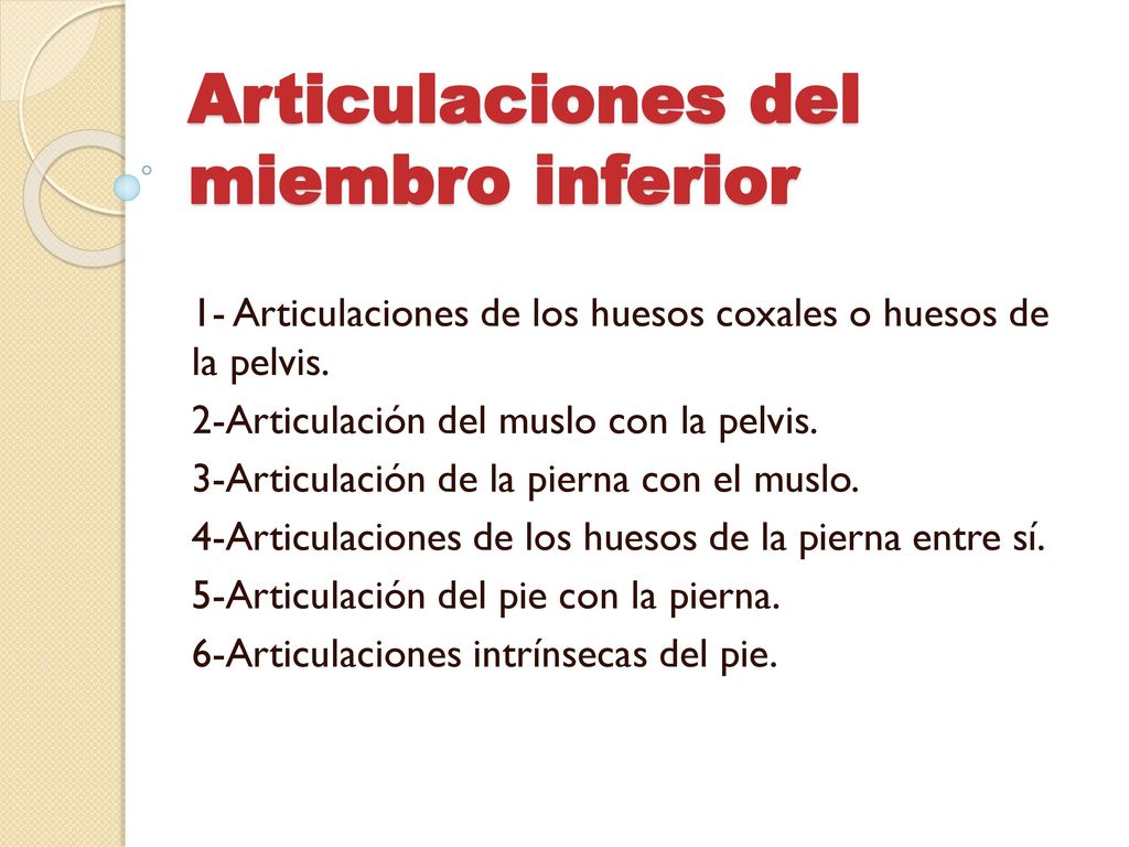 Es miembro inferior que